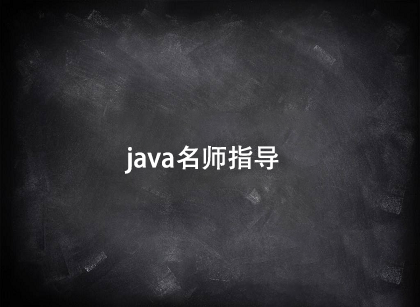 java名師指導(dǎo)