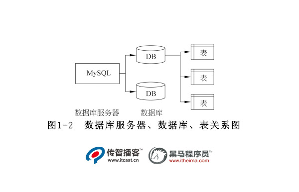 數據庫結構